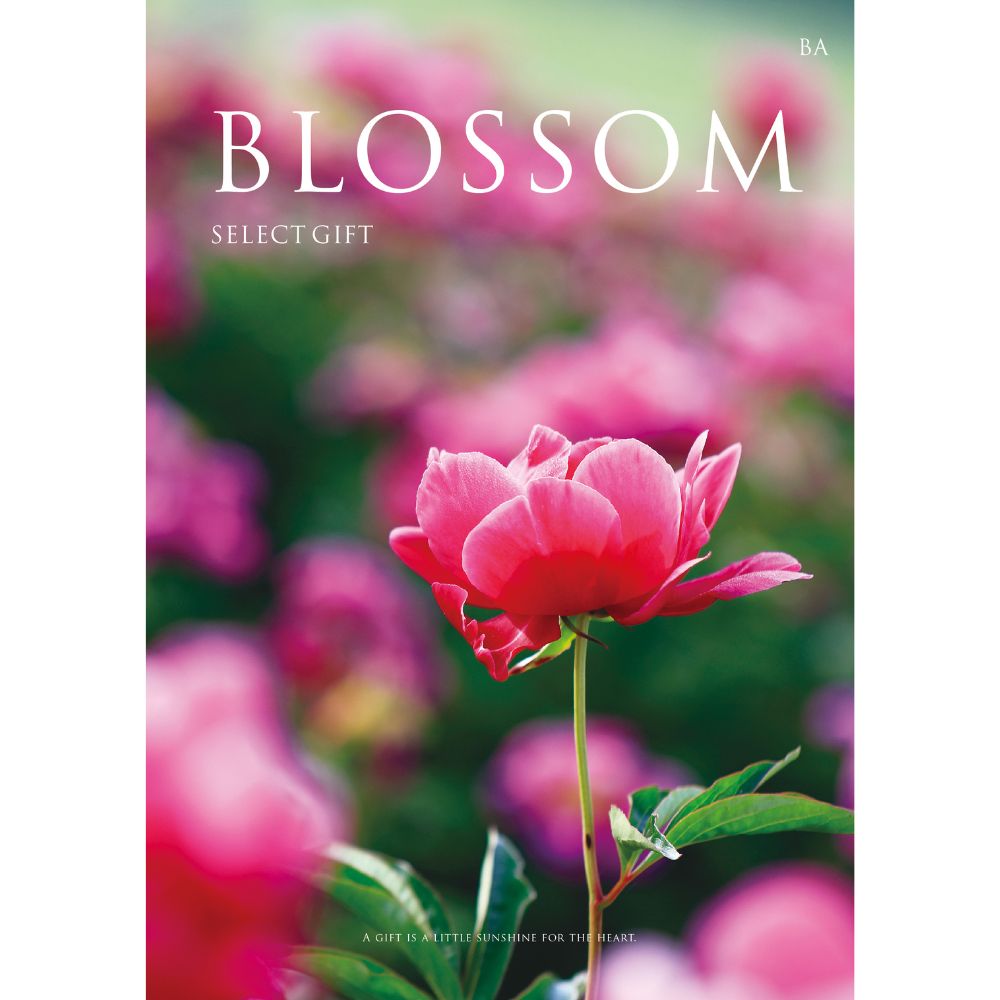 BLOSSOM ブロッサム 23-24 Elegante 1280_YvUdwlQLB4924UmR.jpg?