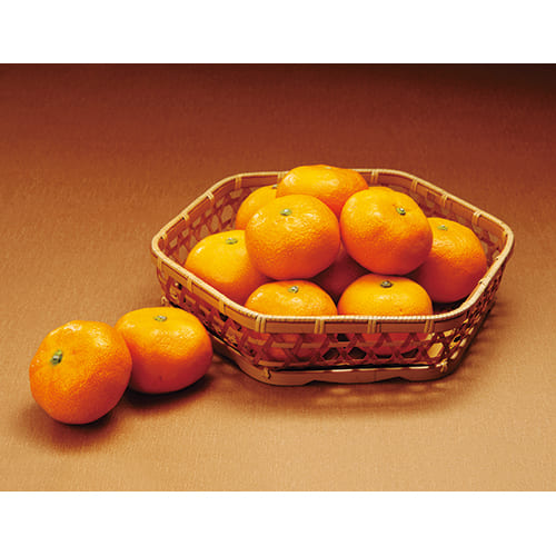 みかん | 遠鉄百貨店オンラインストア