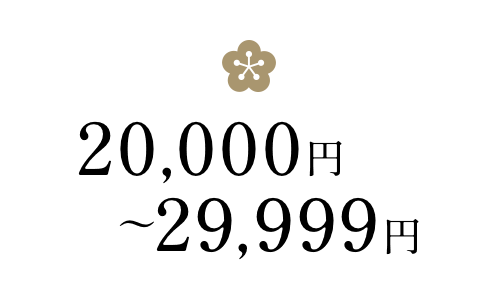 20,000円～29,999円未満