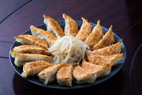 【遠】初代しげの夜餃子（20個入り）