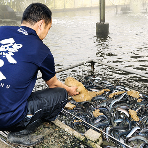 浜名湖うなぎ三昧セット