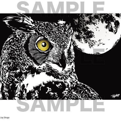 Cool Owl A4 Poster