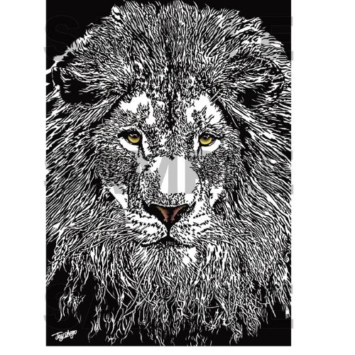Cool Lion A4 Poster