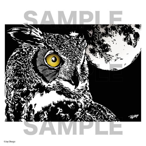 Cool Owl Postcard