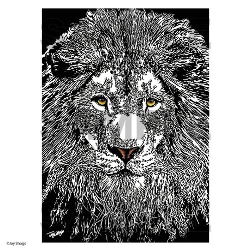 Cool Lion Postcard